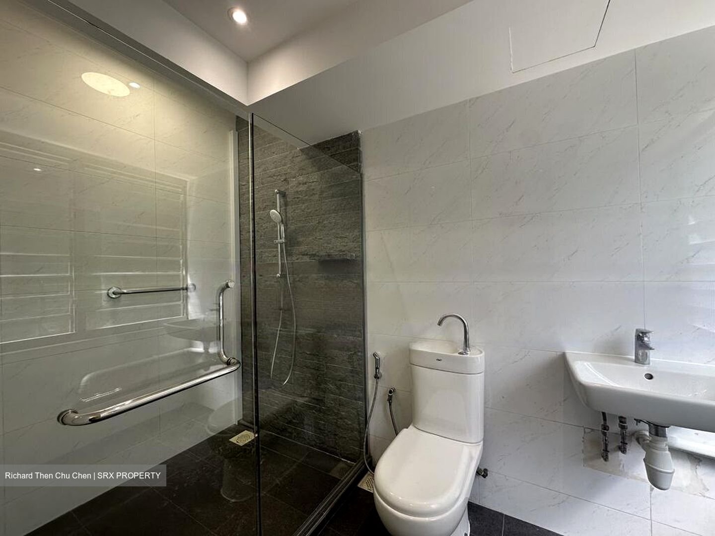 Dunearn Road (D11), Condominium #456270081